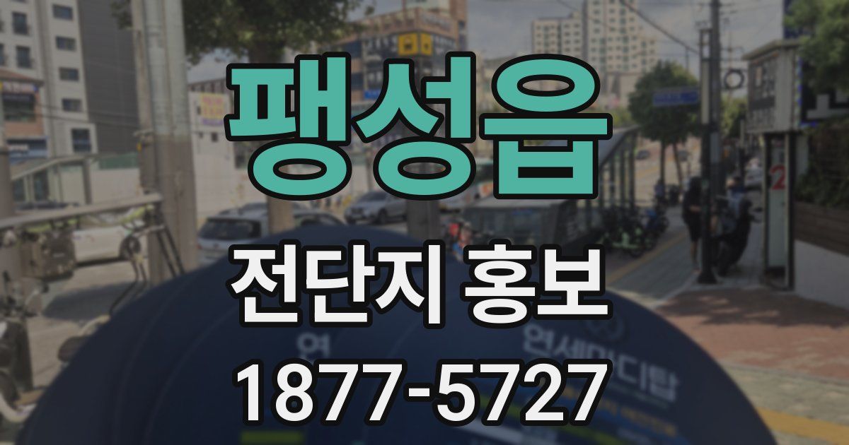 팽성읍 전단지 홍보