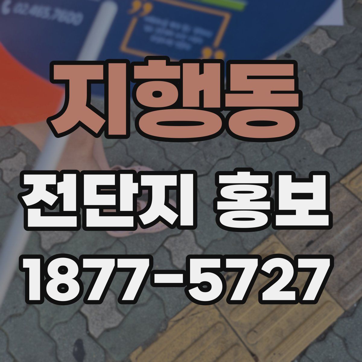 지행동 전단지 홍보