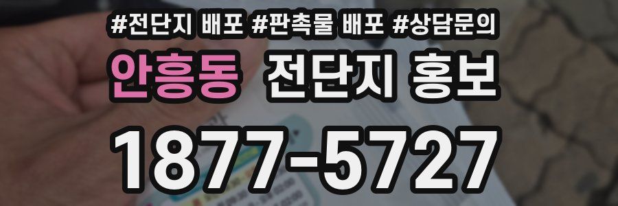 안흥동 전단지 홍보