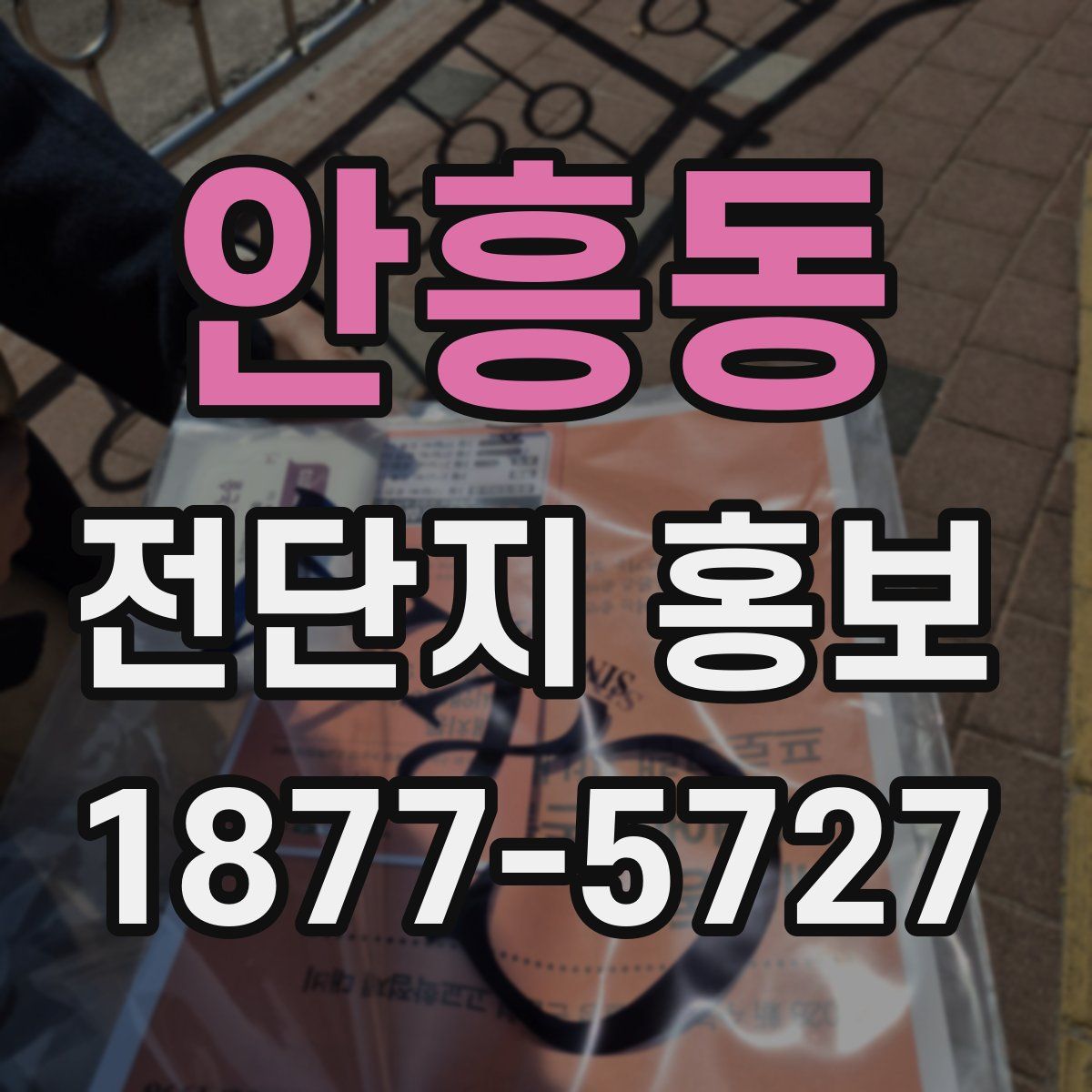 안흥동 전단지 홍보
