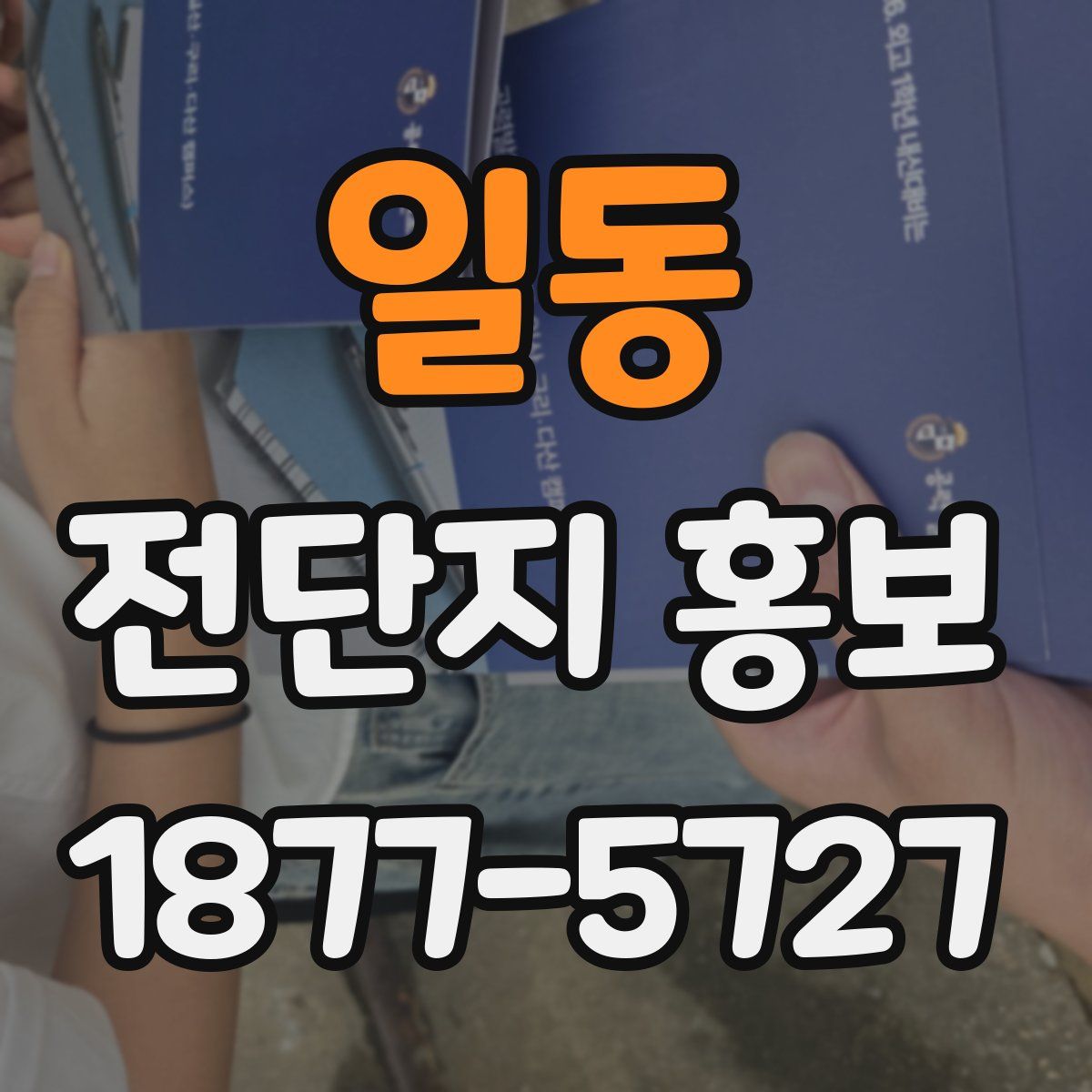 일동 전단지 홍보