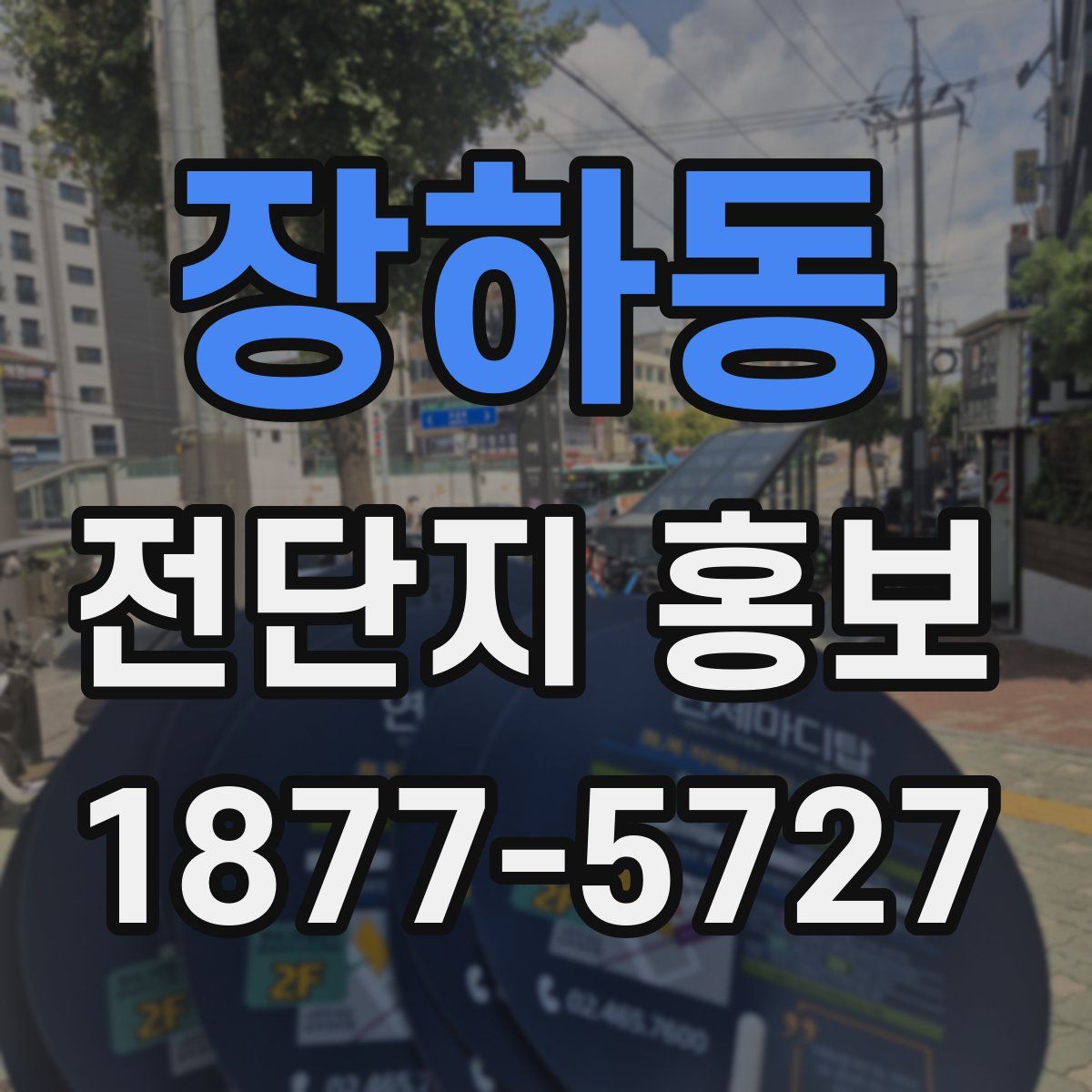 장하동 전단지 홍보