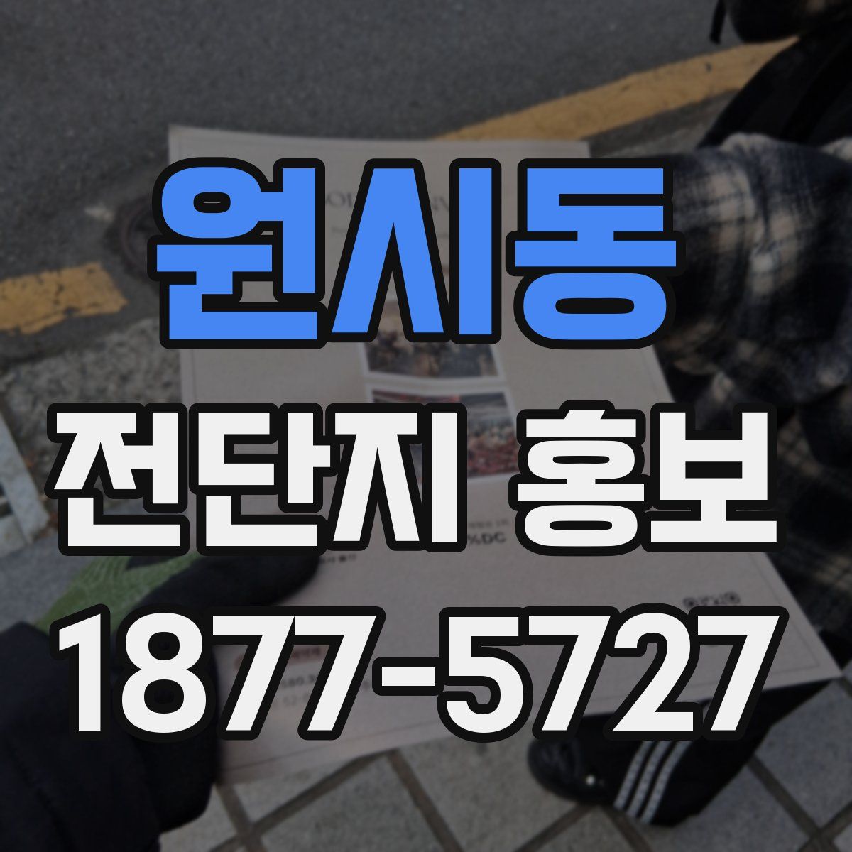 원시동 전단지 홍보
