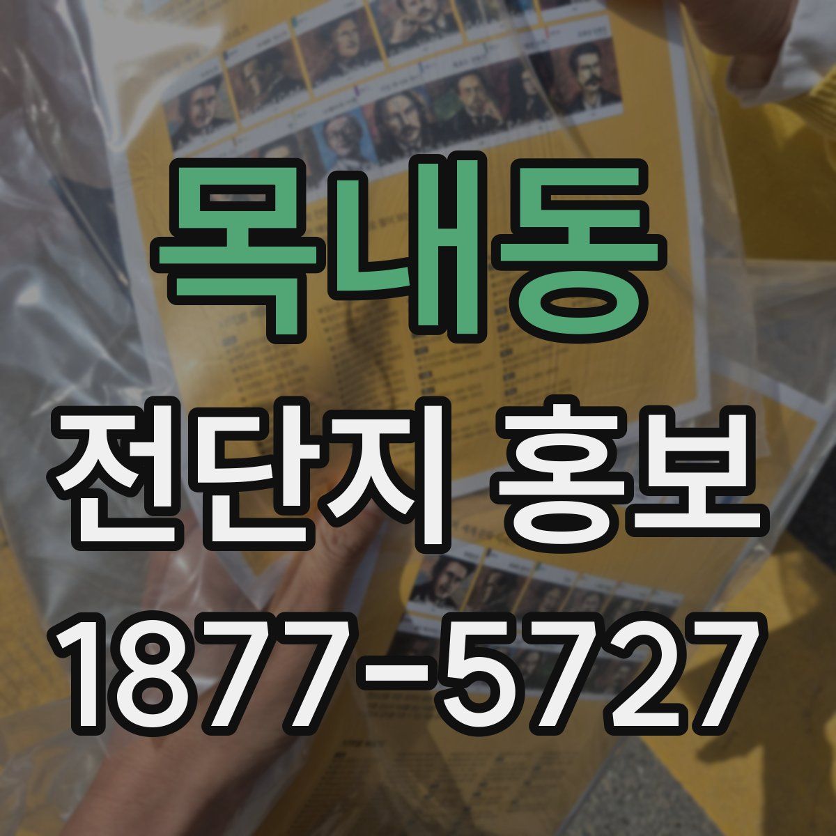 목내동 전단지 홍보