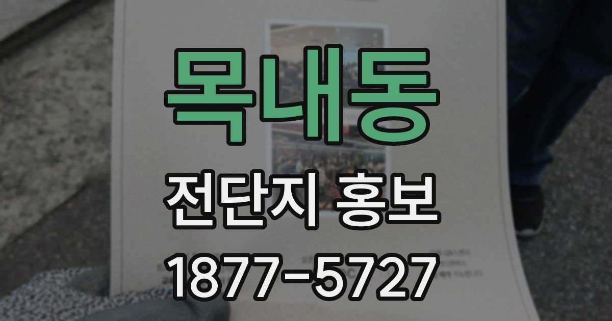 목내동 전단지 홍보