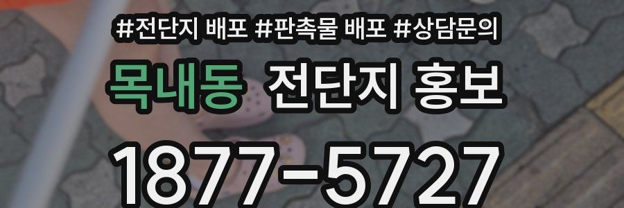 목내동 전단지 홍보