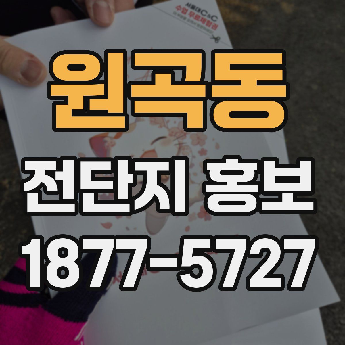원곡동 전단지 홍보