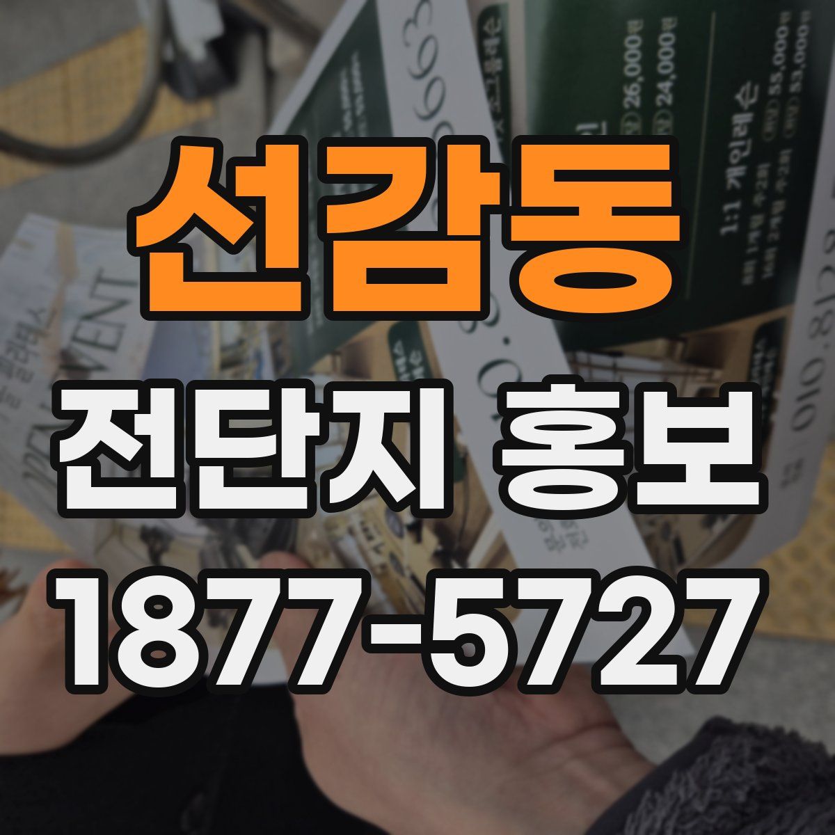 선감동 전단지 홍보