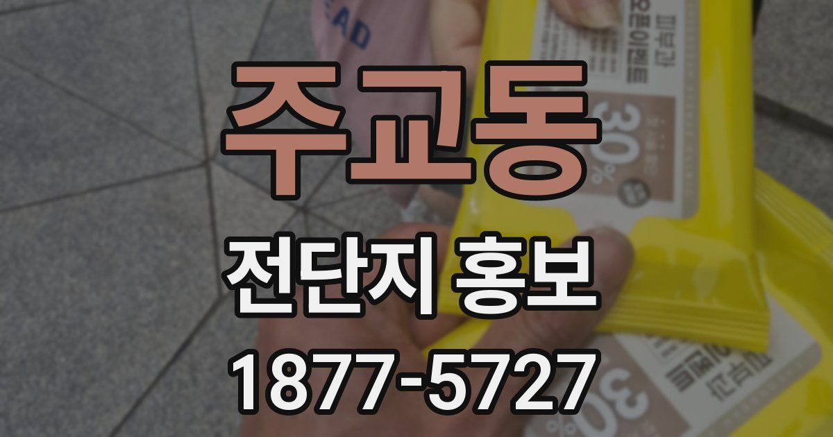 주교동 전단지 홍보
