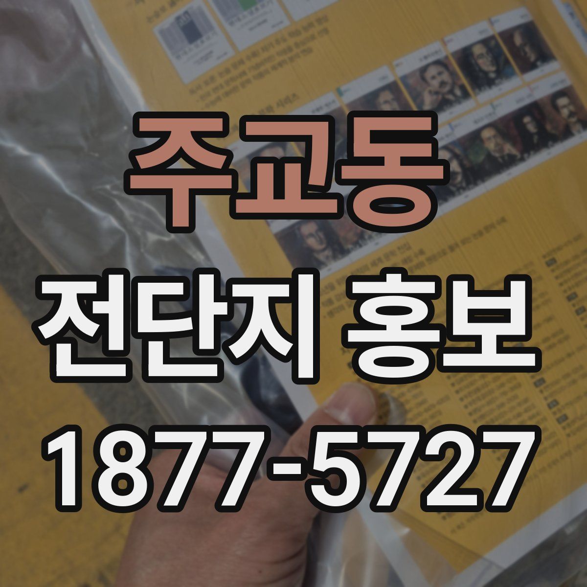 주교동 전단지 홍보