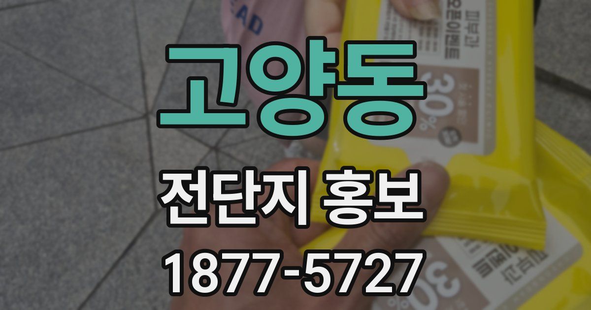 고양동 전단지 홍보