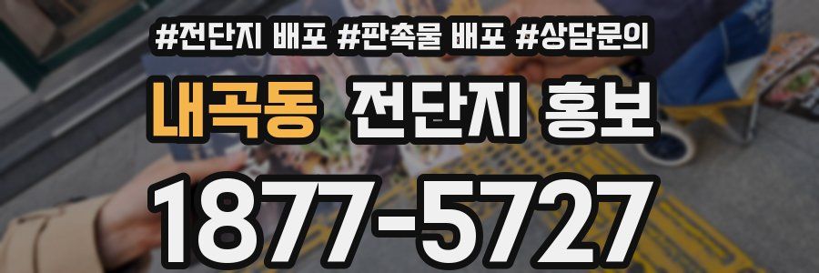 내곡동 전단지 홍보