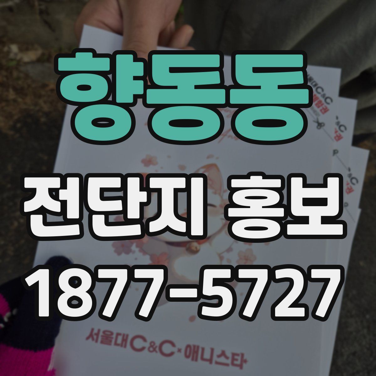 향동동 전단지 홍보