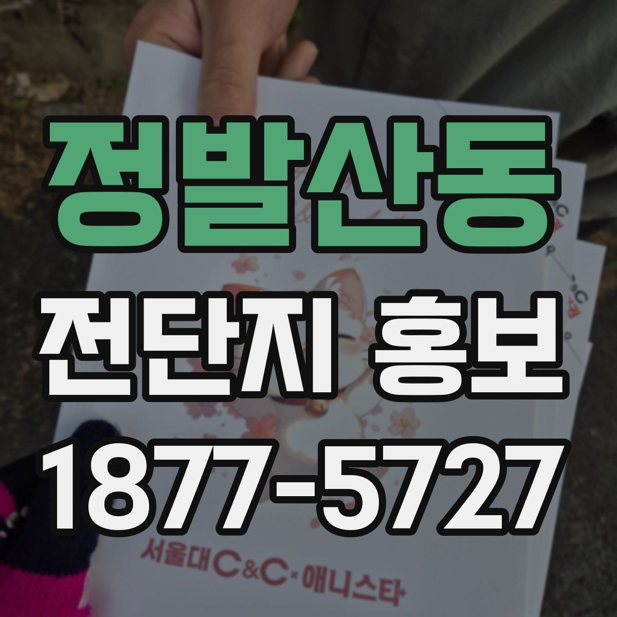 정발산동 전단지 홍보