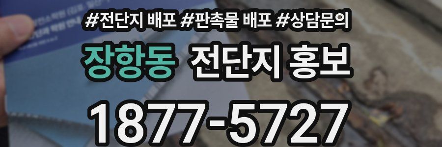 장항동 전단지 홍보
