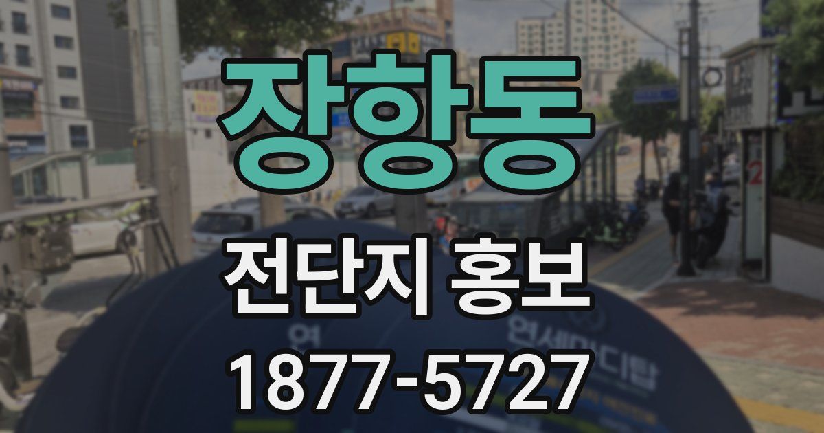 장항동 전단지 홍보