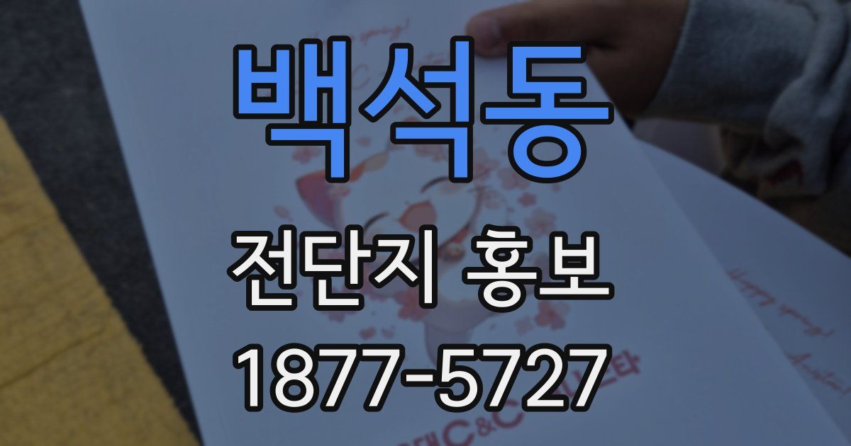 백석동 전단지 홍보