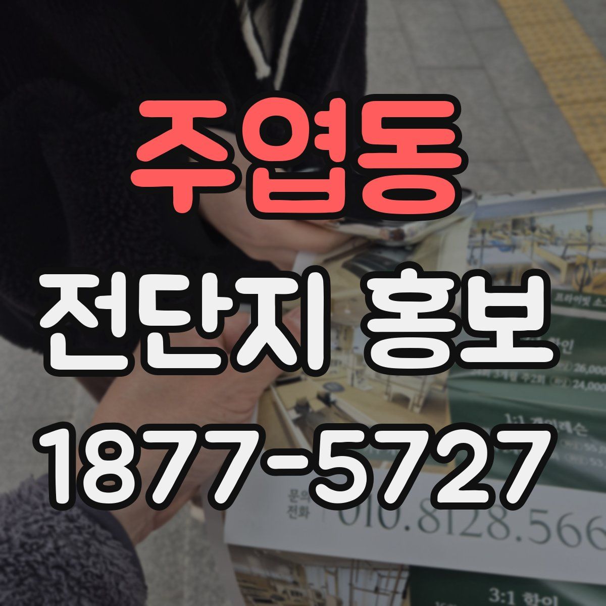 주엽동 전단지 홍보