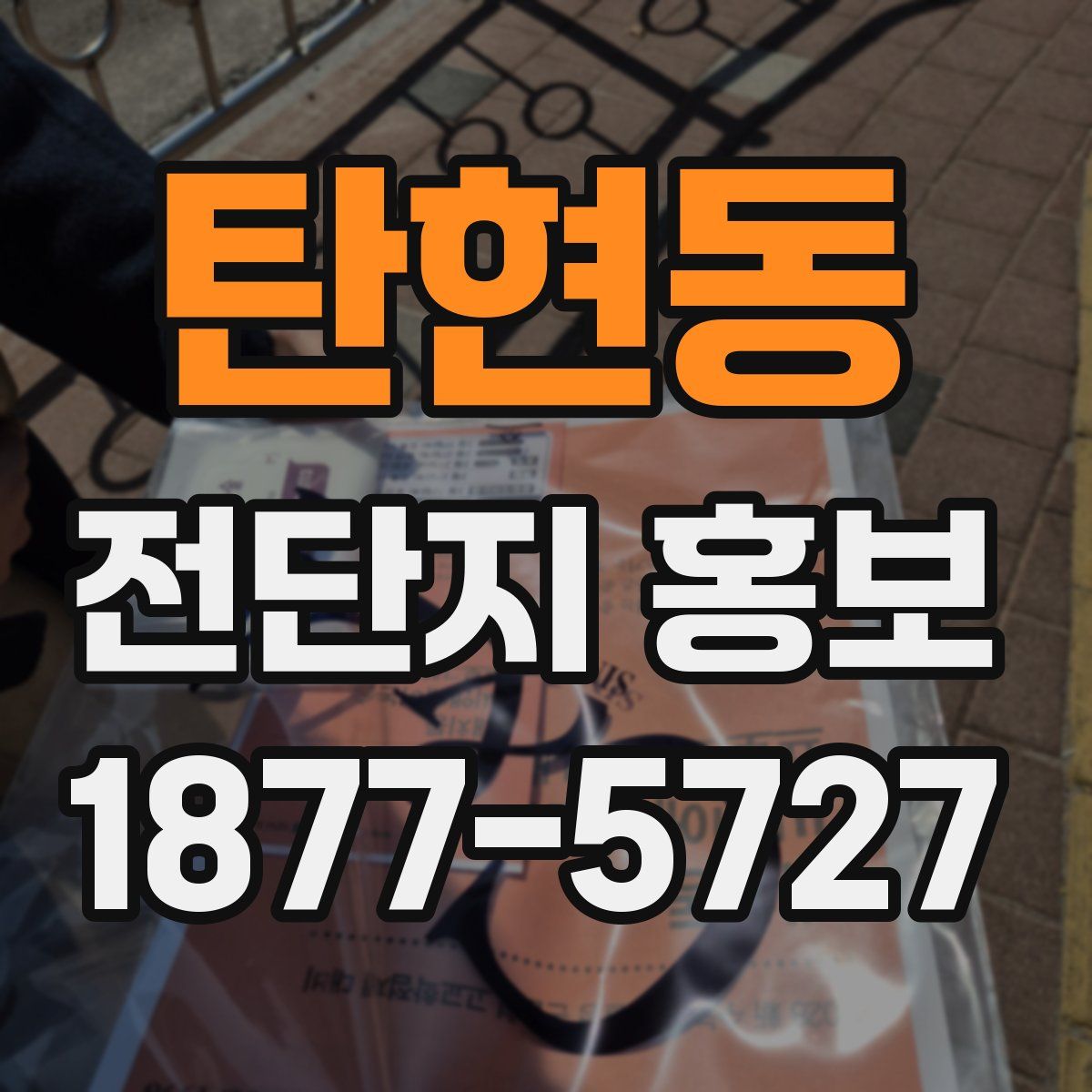 탄현동 전단지 홍보