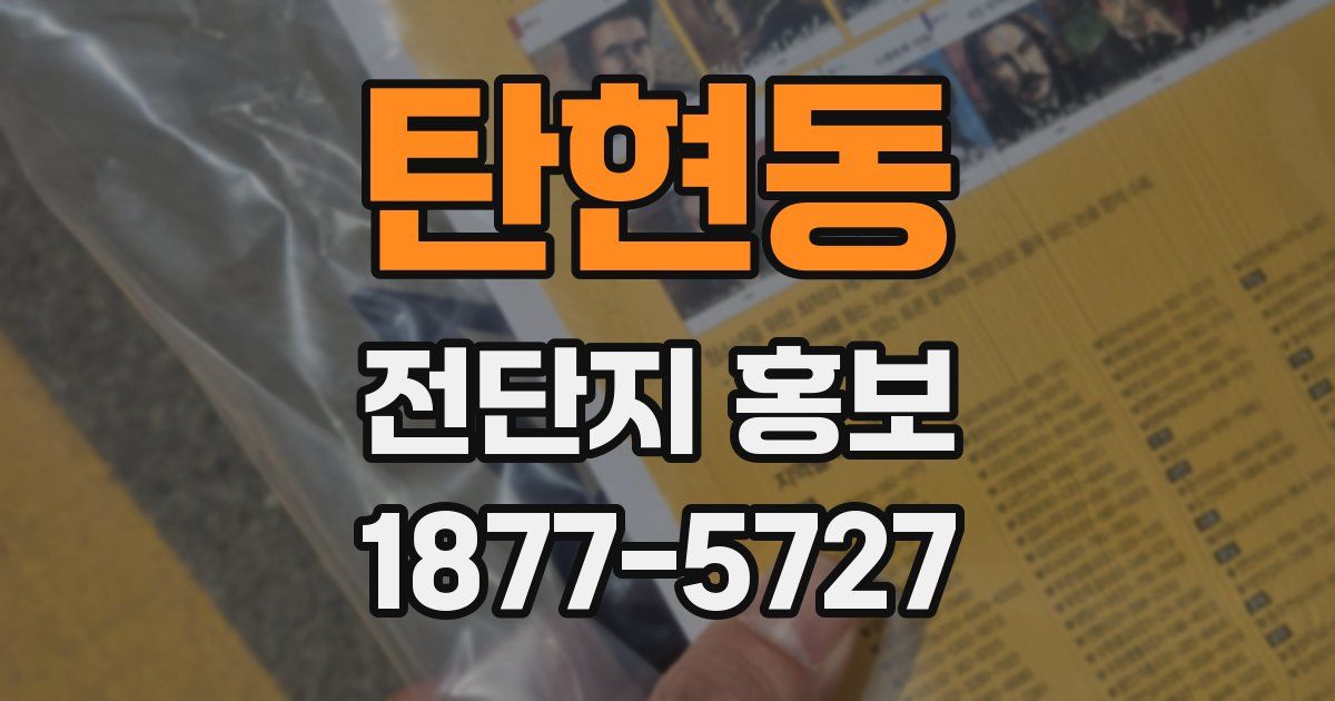 탄현동 전단지 홍보