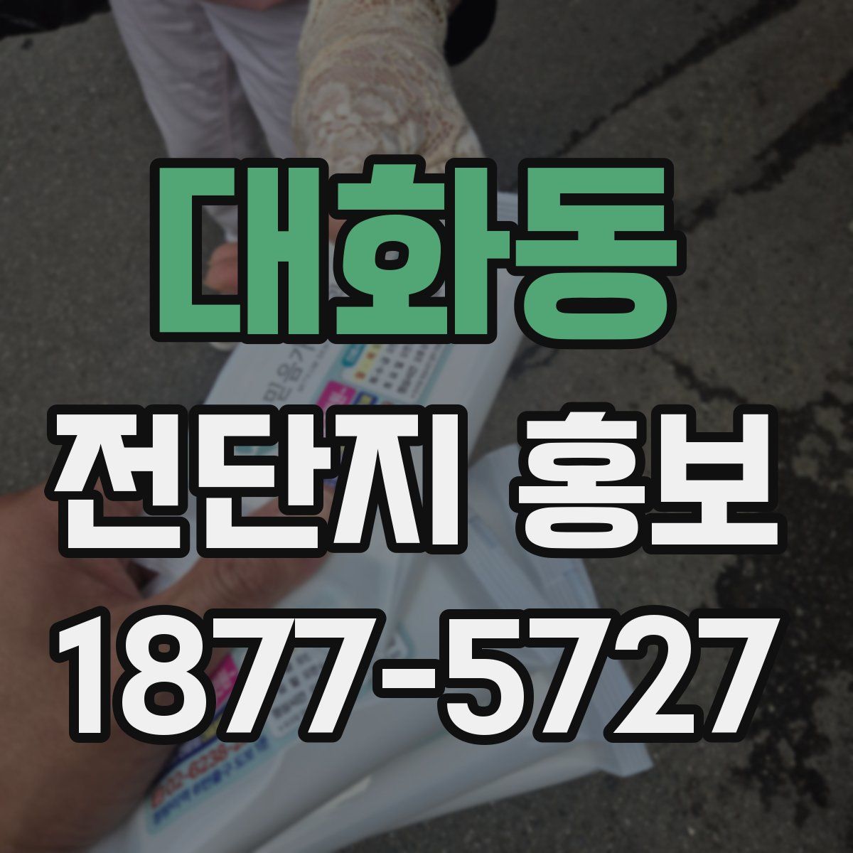 대화동 전단지 홍보