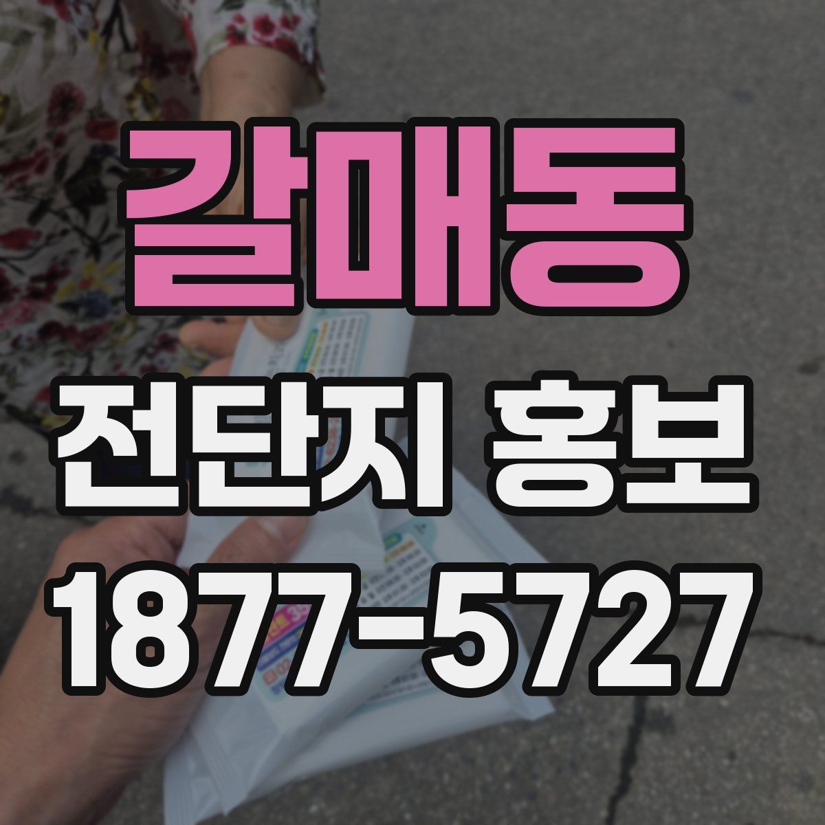 갈매동 전단지 홍보