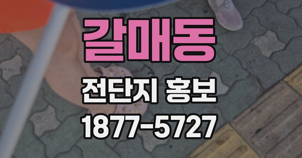 갈매동 전단지 홍보