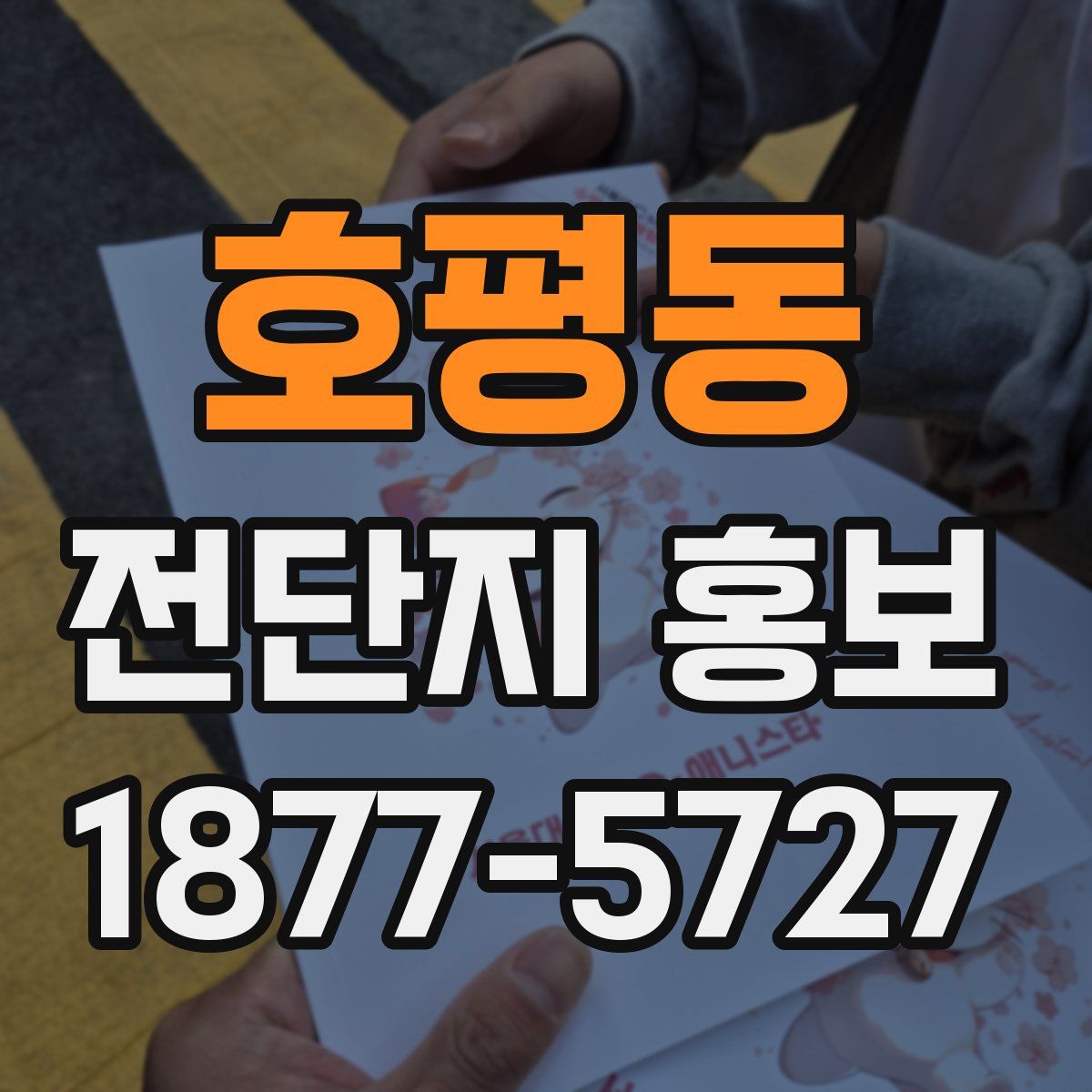 호평동 전단지 홍보