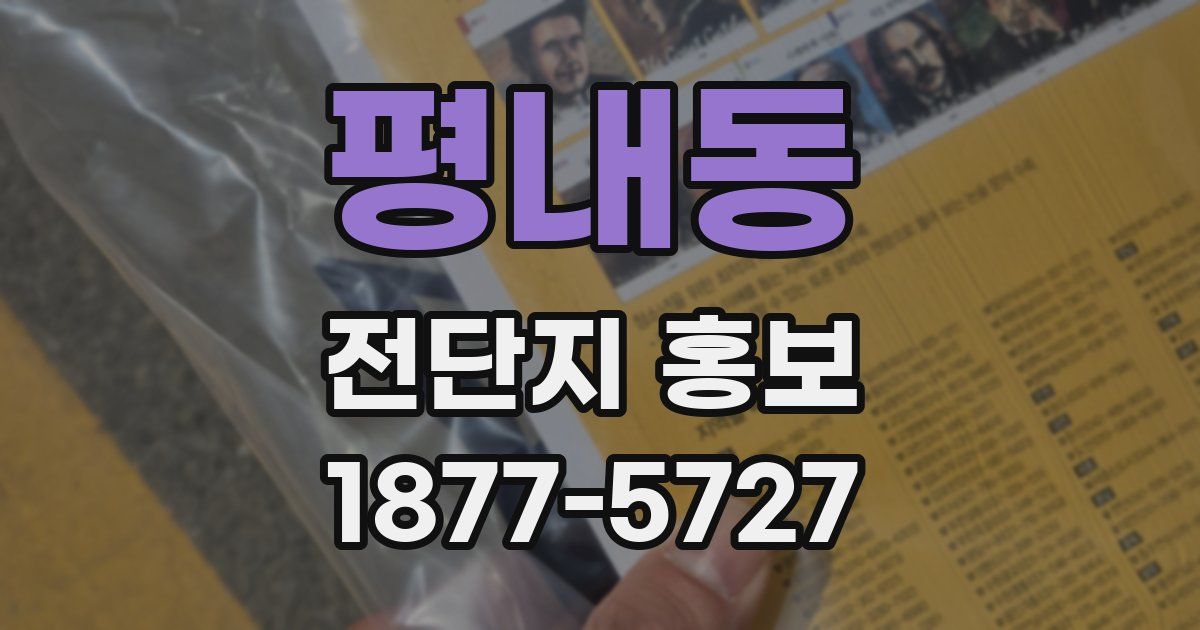 평내동 전단지 홍보