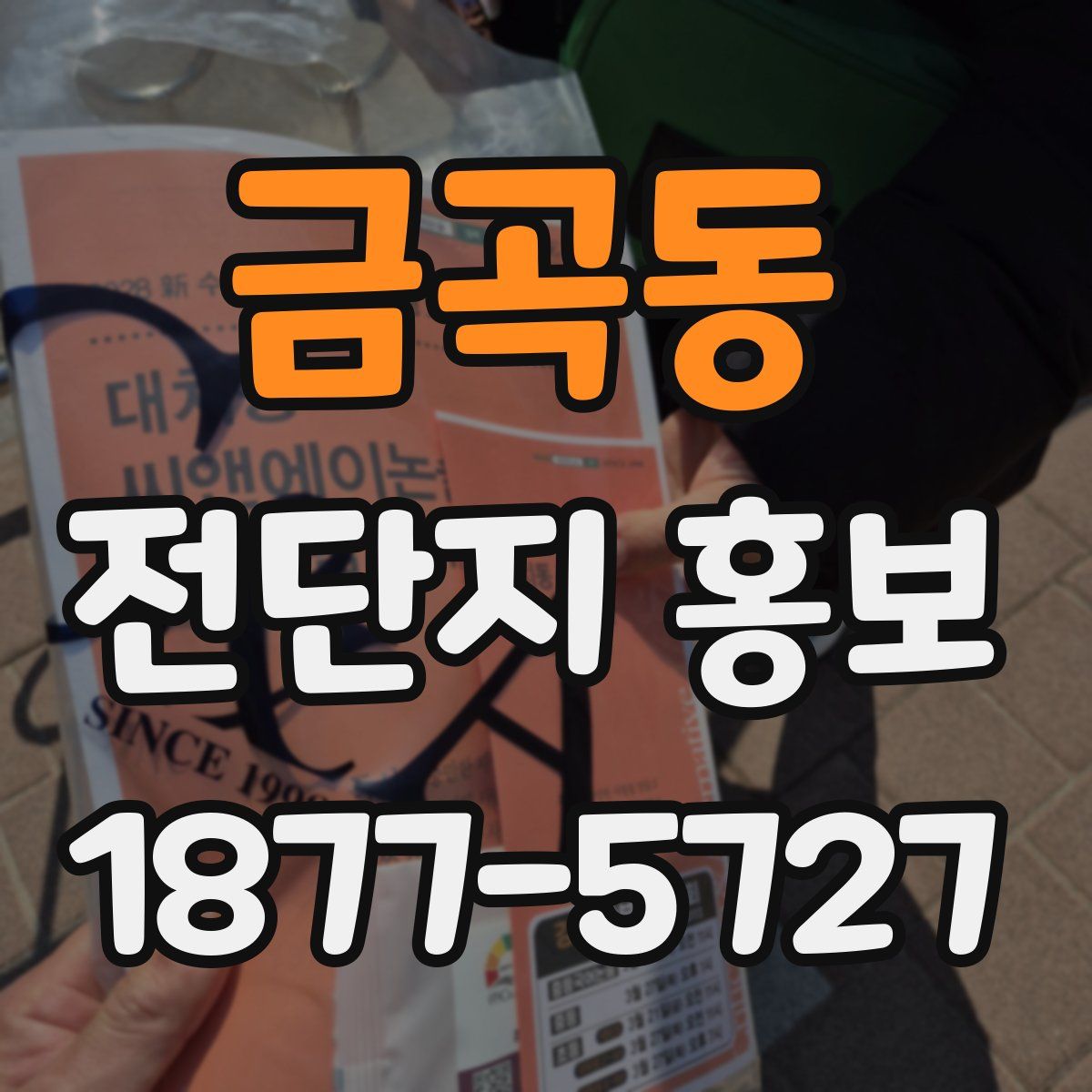 금곡동 전단지 홍보