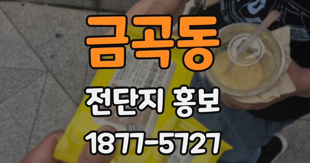 금곡동 전단지 홍보