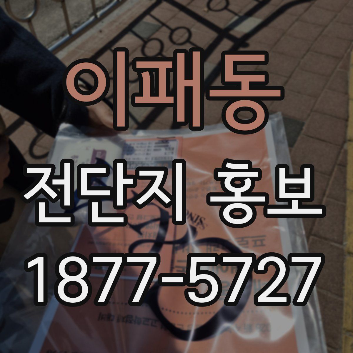 이패동 전단지 홍보