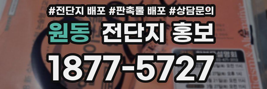 원동 전단지 홍보