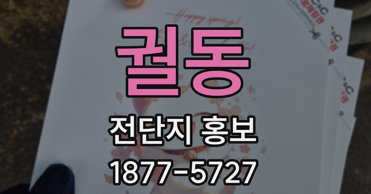 궐동 전단지 홍보