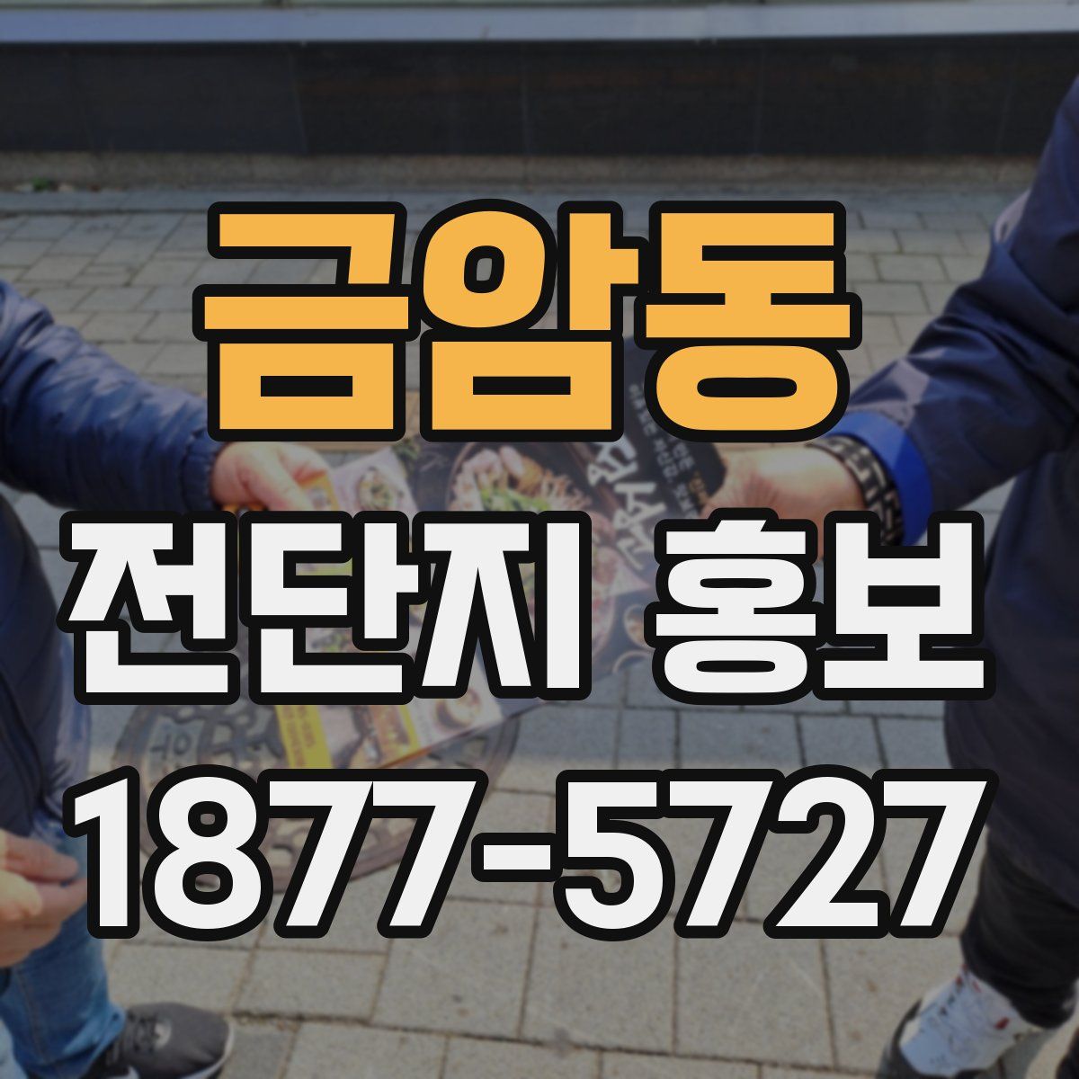 금암동 전단지 홍보