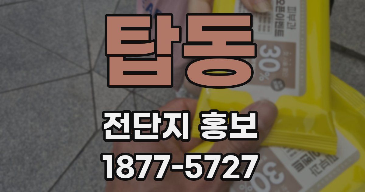 탑동 전단지 홍보