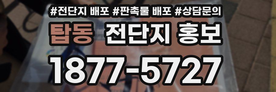 탑동 전단지 홍보