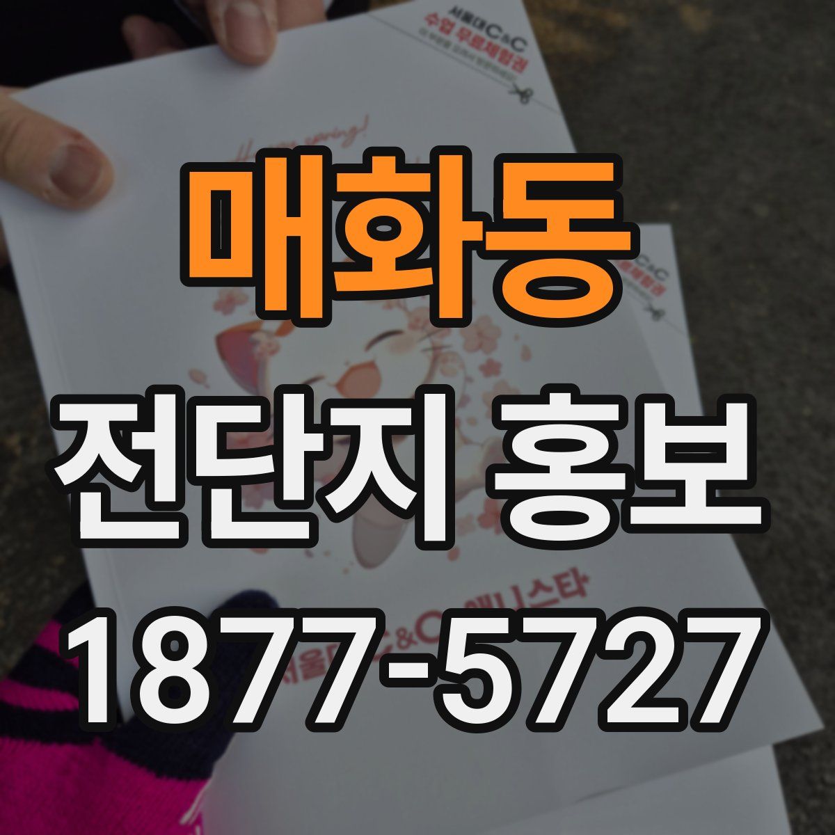 매화동 전단지 홍보