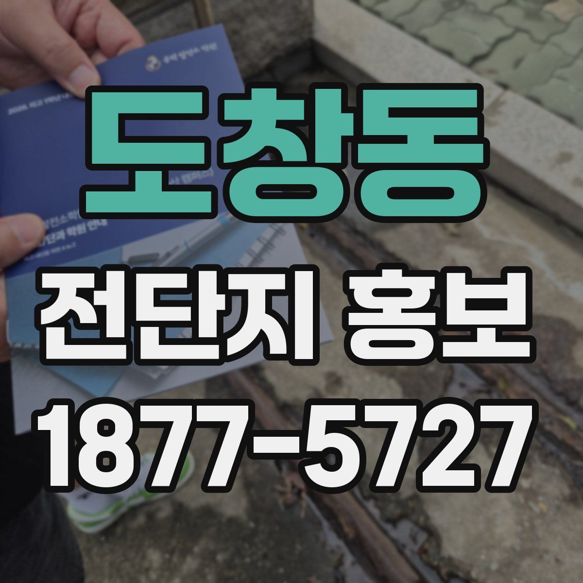 도창동 전단지 홍보