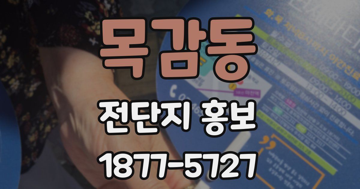 목감동 전단지 홍보