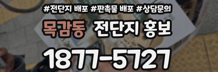 목감동 전단지 홍보