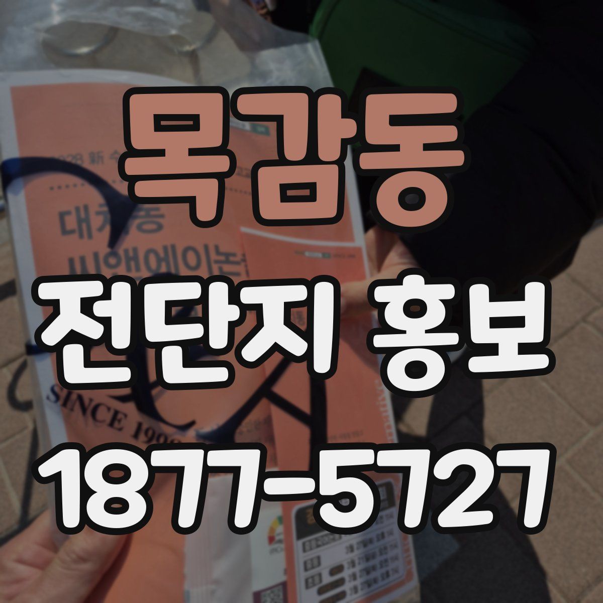목감동 전단지 홍보