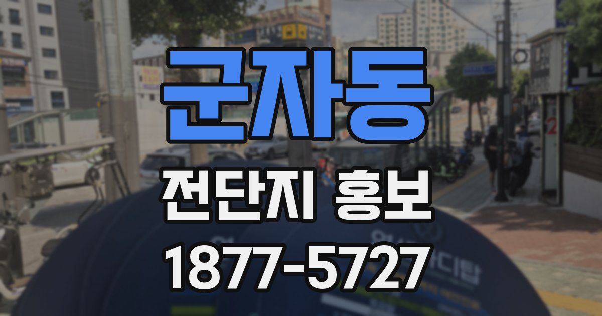 군자동 전단지 홍보