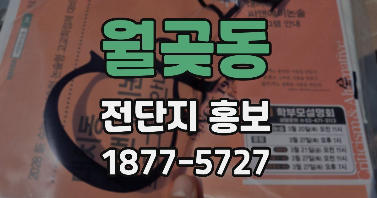 월곶동 전단지 홍보