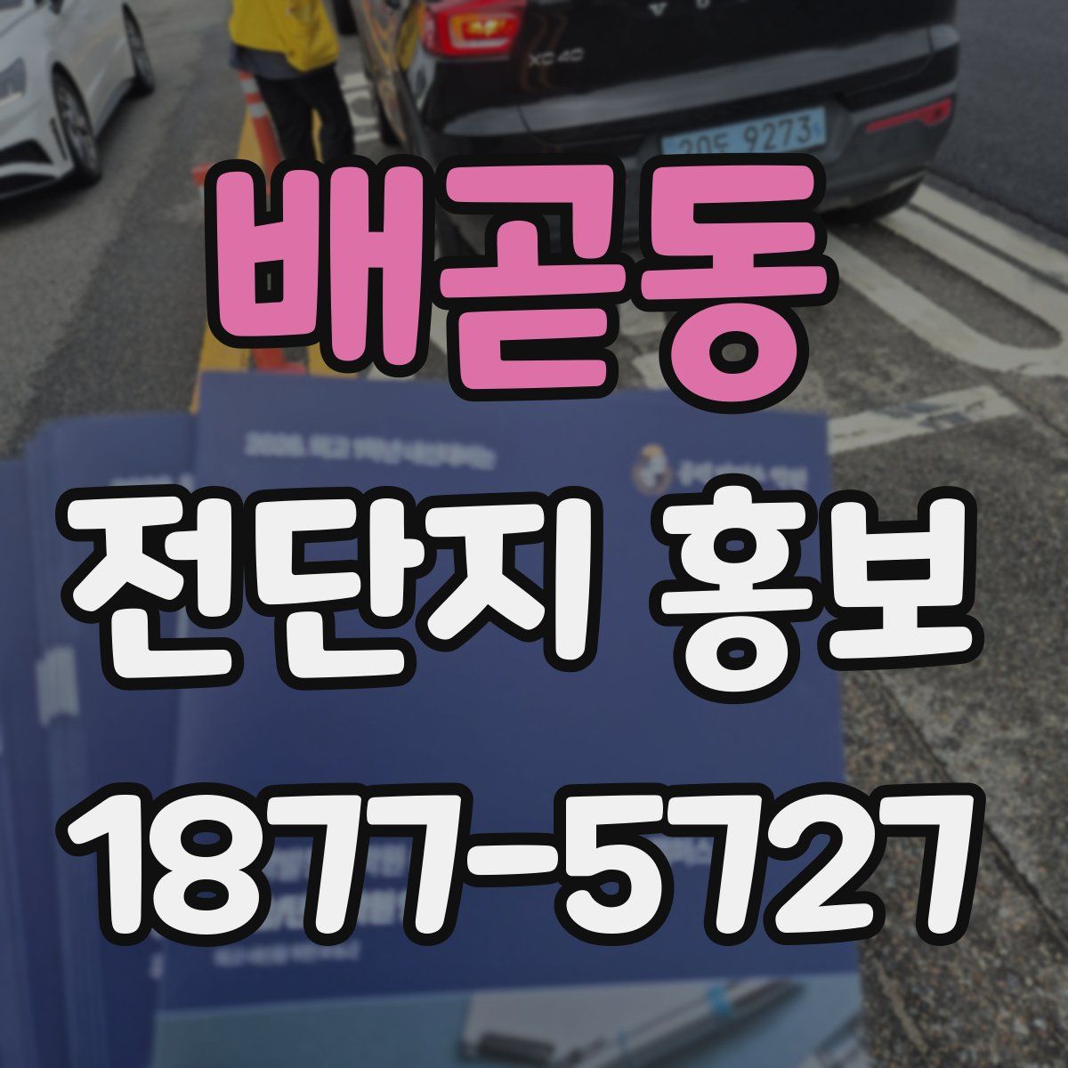 배곧동 전단지 홍보