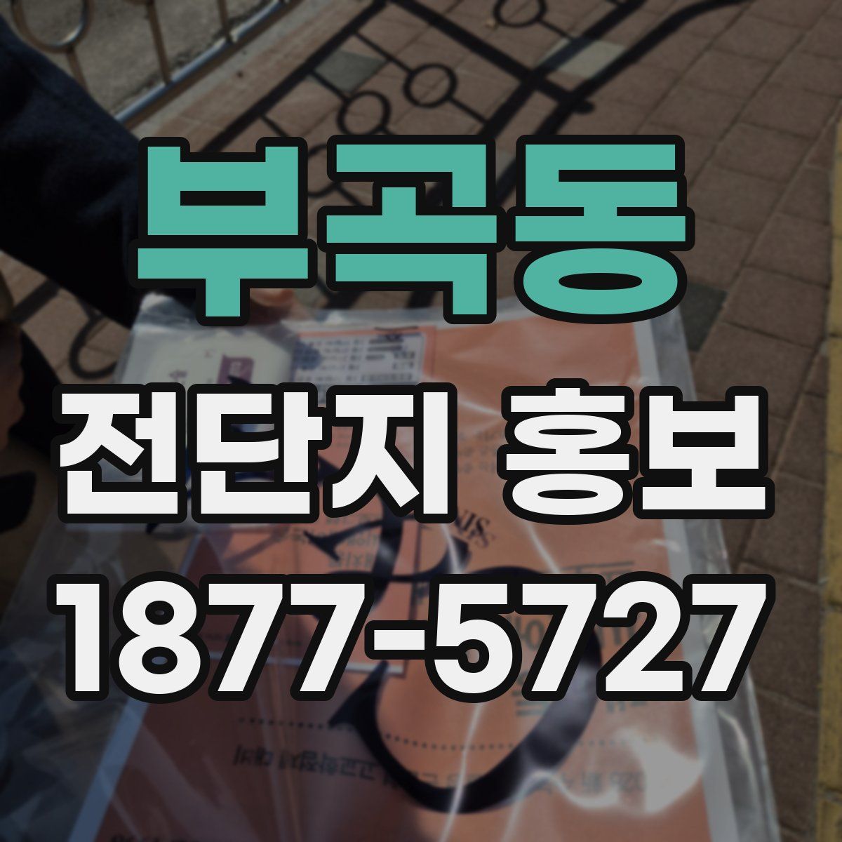 부곡동 전단지 홍보
