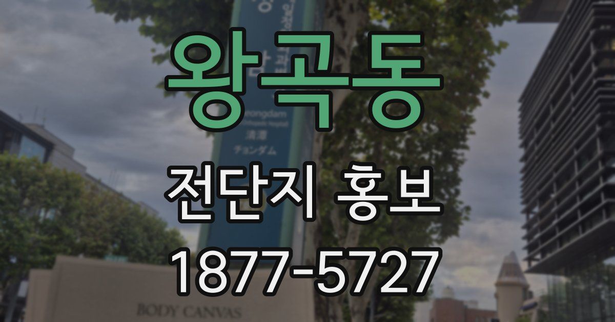 왕곡동 전단지 홍보