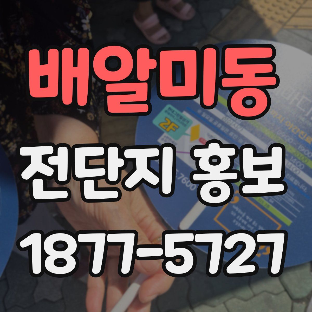 배알미동 전단지 홍보