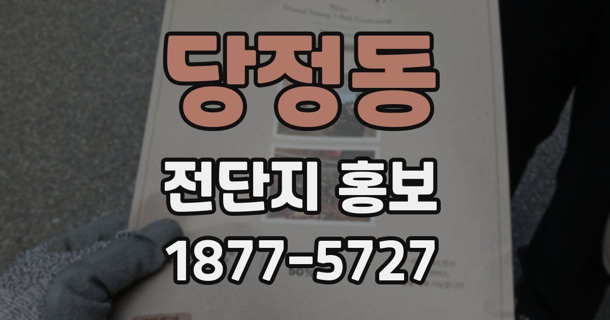 당정동 전단지 홍보