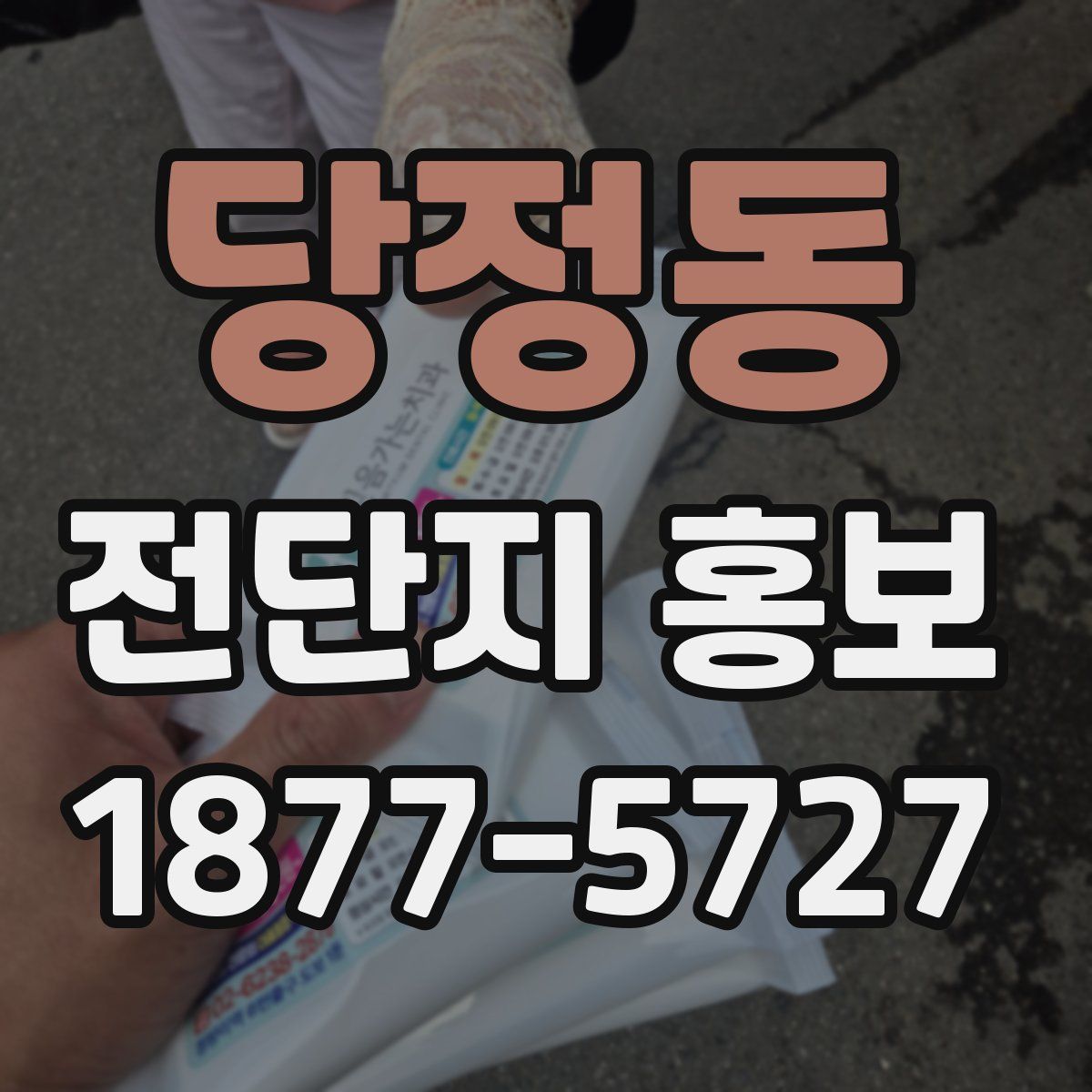 당정동 전단지 홍보